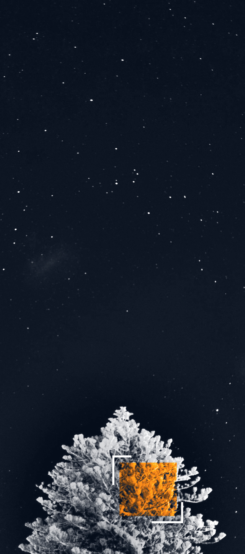 Mobile Background